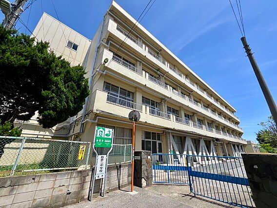 中学校「柏市立...