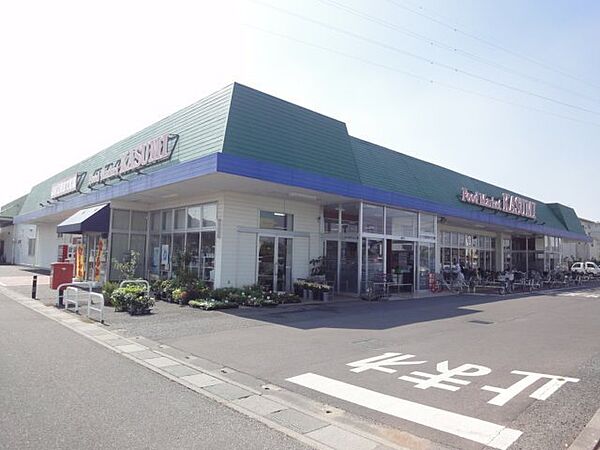 画像24:【スーパー】（株）カスミ 杉戸店まで496ｍ