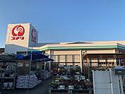 ホームセンター「コメリハード＆グリーン吉見店まで518m」