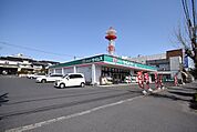 ドラッグセイムス東飯能店 徒歩18分。 1380m