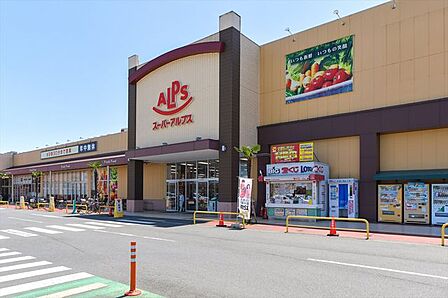 スーパーアルプス入間下藤沢店 徒歩9分。 690m