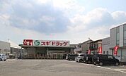 スギドラッグ狭山広瀬東店 徒歩10分。 750m