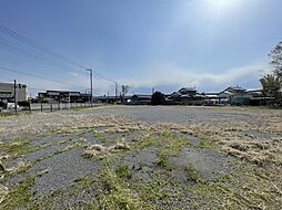 柏合貸地