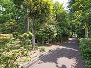 椿峰中央公園 徒歩8分。 580m