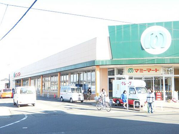 画像21:【スーパー】マミーマート行田谷郷店まで793ｍ