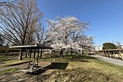 八王子公園まで1000ｍ