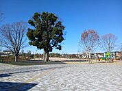三室中央公園（ヌゥパーク）まで400ｍ