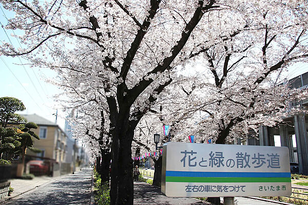 周辺を拡大表示