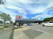 角上魚類川口店
