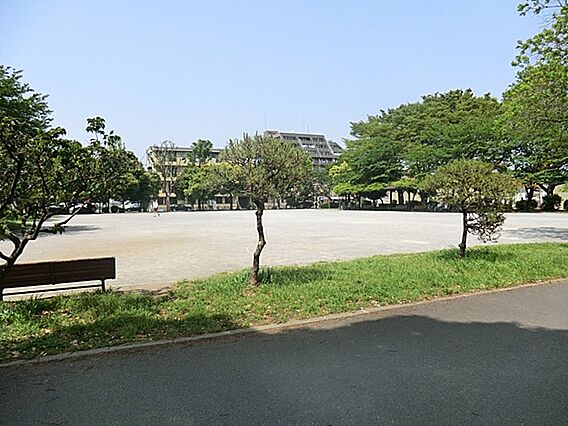 【東綾瀬公園】...