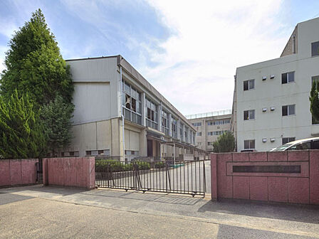 （松戸市立新松戸南中学校）1978年4月30日創立。公立校として普通だと思う。ただ部活は盛んであり、陸上部、卓球部は強い。