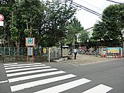 「柏市立柏第一小学校」二十一世紀を生き抜く人間性豊かな人づくりをめざして、知性と徳性を備えた健康な児童の育成に努めています。