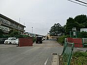 創立119年を迎える伝統ある小学校。校庭の美しい桜は、土小学校やこの地域の歴史をずっと見守り続けています。