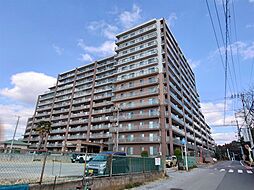 エクセレントプレイスドリームマークス
