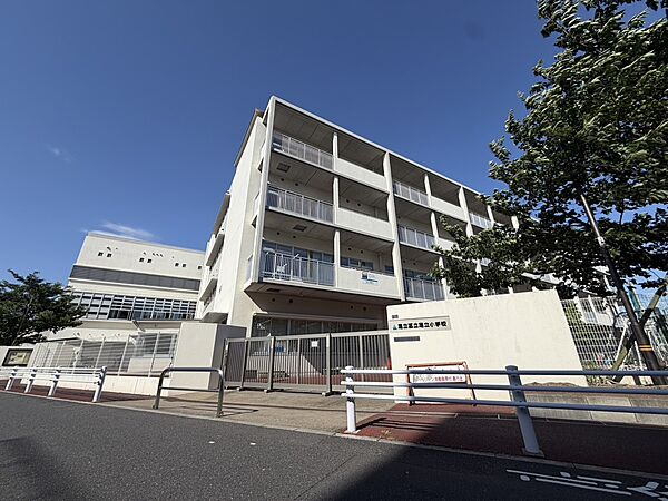 周辺を拡大表示