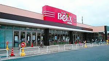 ベルクス草加青柳店 1100m
