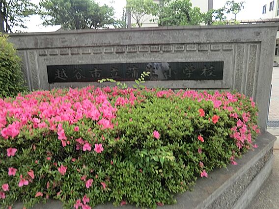 蒲生小学校(5...