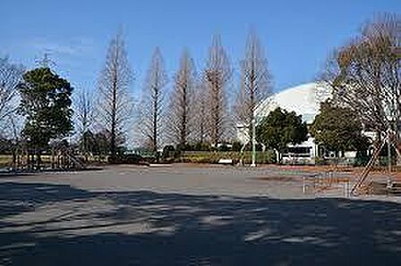 川柳公園(700m)