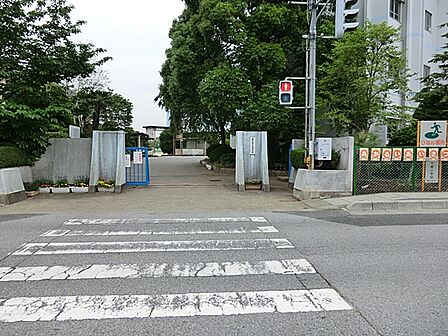 春日部市立八木崎小学校 700m