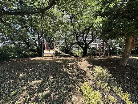 【藤原さくら公園】四季折々の自然を感じられる緑豊かな公園です。