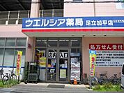 ウエルシア足立加平店まで約500ｍ