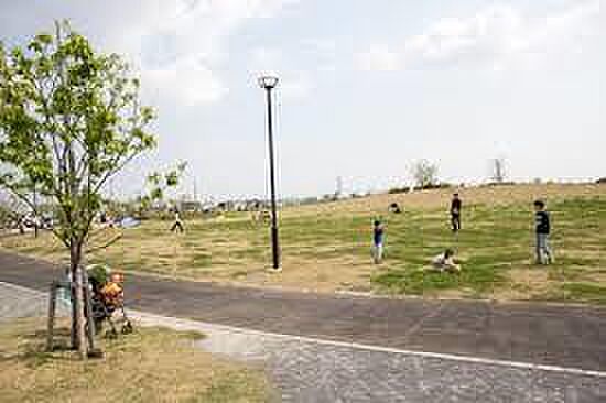 美南中央公園(...