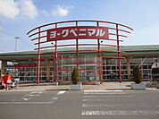 ヨークベニマル岩沼西店まで284ｍ