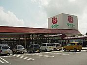 スーパータイヨー八街店まで442ｍ