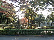仲田公園まで655ｍ