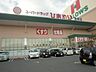 周辺：ひまわり笠岡店（ドラッグストア）まで1、274ｍ