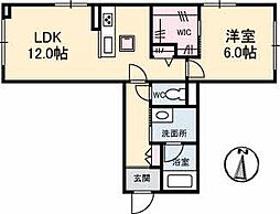 アベニール 1LDKの間取図画像