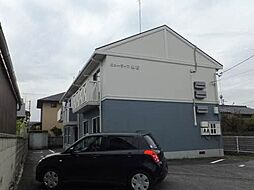 ニューライフ越智