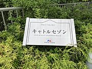 （101）