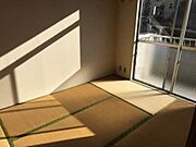 畳採用