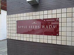 5 / 16