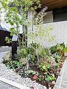 共用部には緑もございます