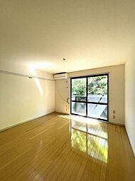 ドエル・エスII 205