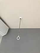 ホスクリーン