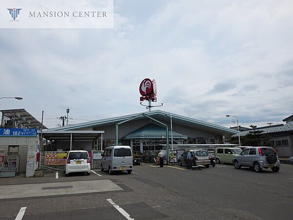 画像24:コメリハード＆グリーン松浜店 961m