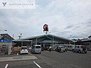 コメリハード＆グリーン松浜店 1236m