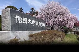 国立信州大学繊維学部（1071m）