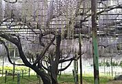 国分寺史跡公園（1236m）