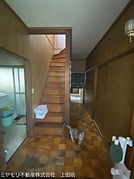 室内の画像