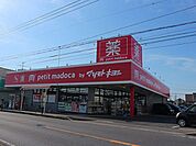 ドラックストア 「petit　madoca辰巳台店まで1778m」