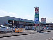 ホームセンター「コメリハード＆グリーン青柳店まで269m」