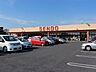 周辺：スーパー「せんどう辰巳台店まで1054m」