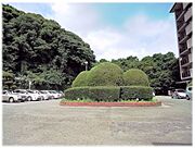 エントランス前には、閑静で緑の多い、中庭がございます。