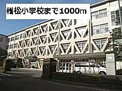 その他「稚松小学校まで1000m」