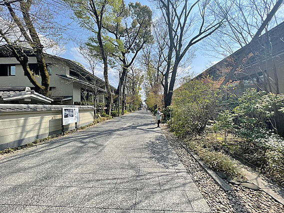 外観含む前面道...