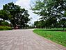 周辺：東京都立武蔵野中央公園まで（520m）
